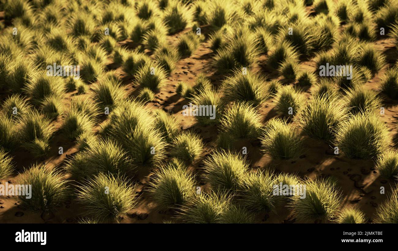 Desert landscape in Crater National park Stock Photo
