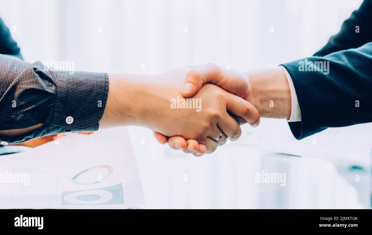 professional cooperation business partners deal Stock Photo