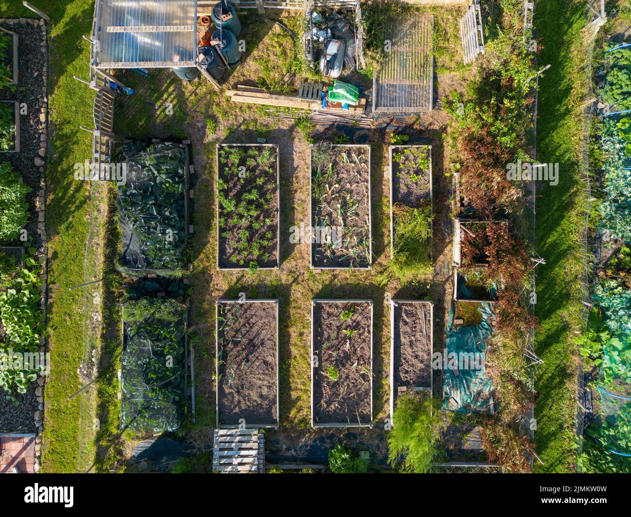 Leeds, UK. 7th August, 2022. UK Weather - Bright sunny weather in Eccup, Leeds, with allotments soaking up the sunshine. Dry conditions remain a concern for gardeners tending to flowers and plants in vegetable gardens. Credit: Bradley Taylor / Alamy News Stock Photo
