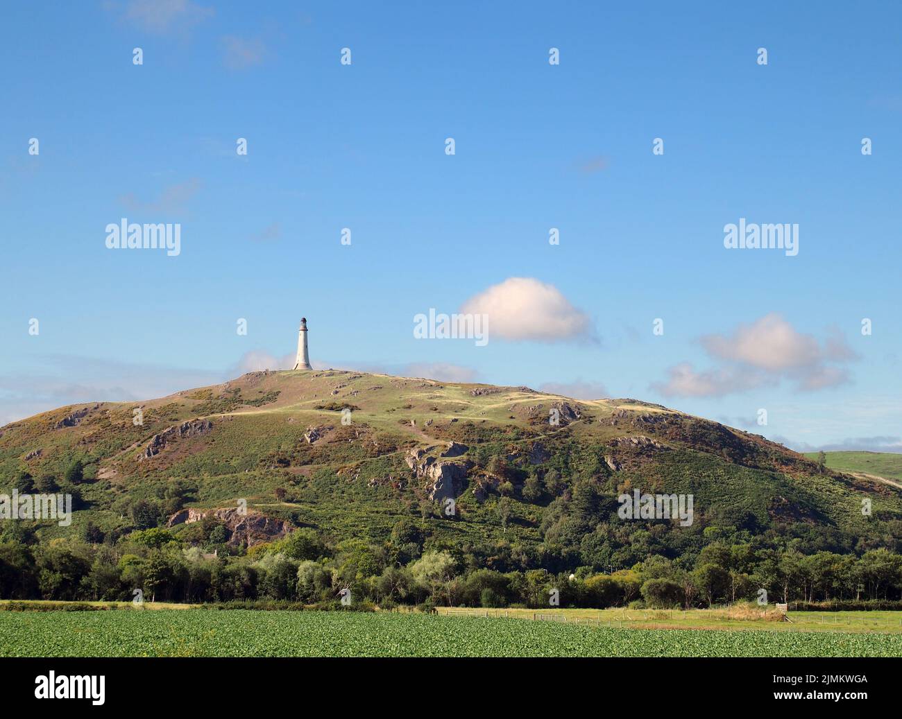 Hoad hill and historic 19th century monument in Ulverston with surrounding fields Stock Photo