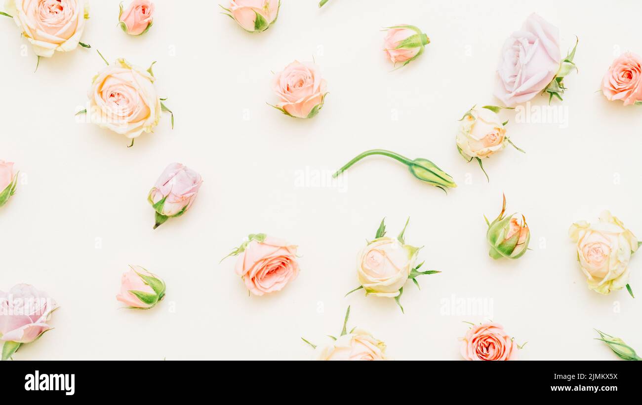 floral background decorative natural composition Stock Photo