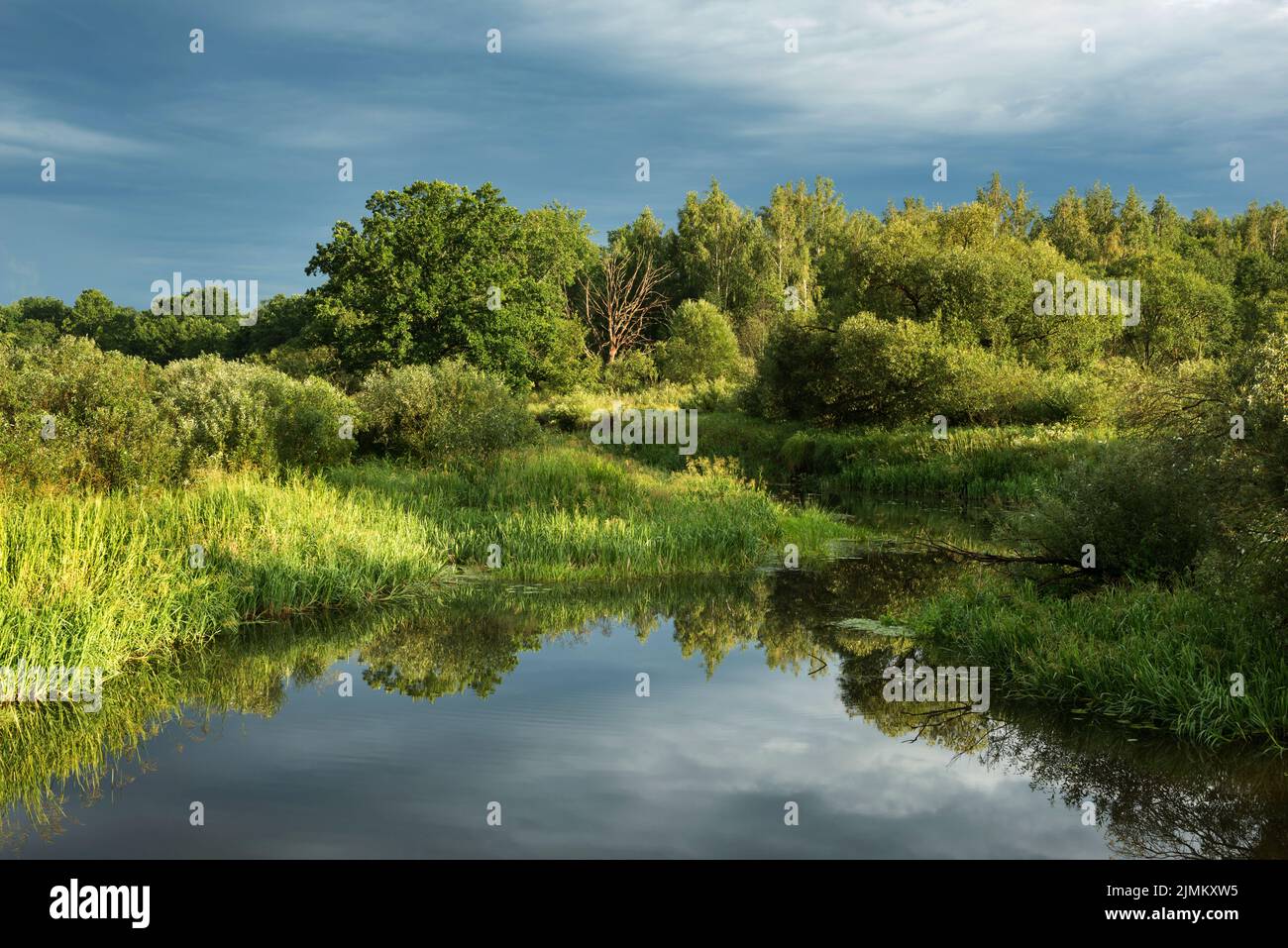 Summer landscape near the Berezina river in Belarus Stock Photo