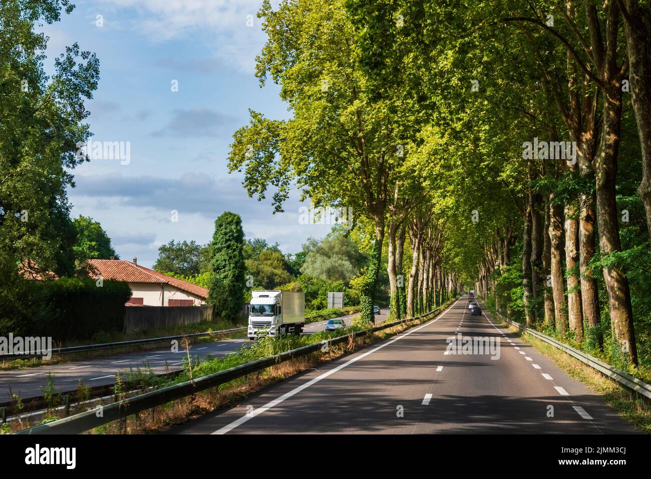 Straight road with two rows of trees on its edges and several vehicles circulating along it, creating a vanishing point. Stock Photo