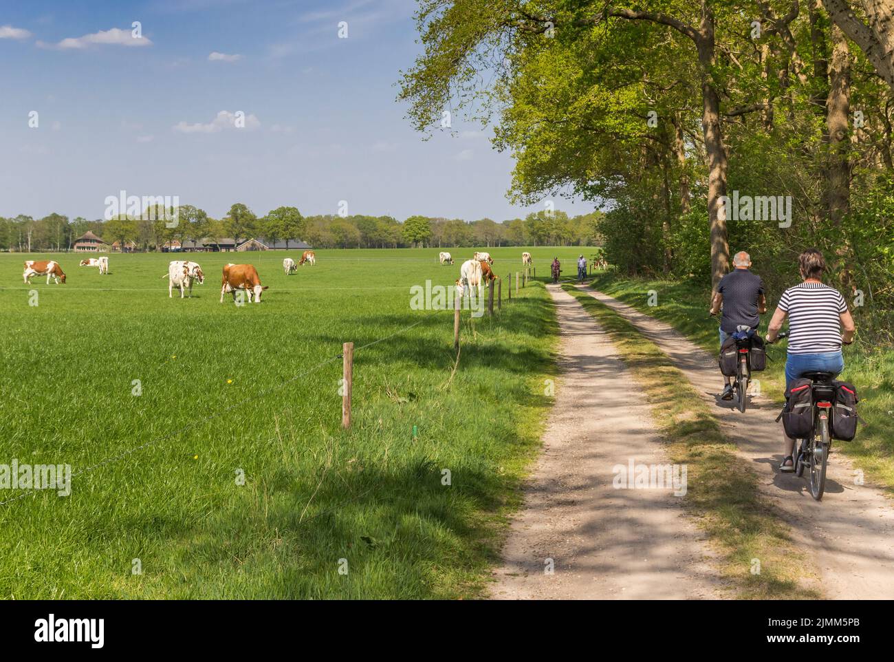 Couple riding their bicycle at a dirt road in Overijssel, Netherlands Stock Photo