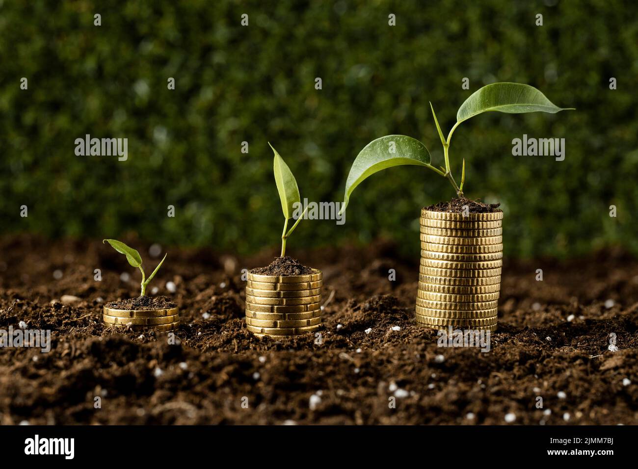 Coins stacked dirt with plants Stock Photo