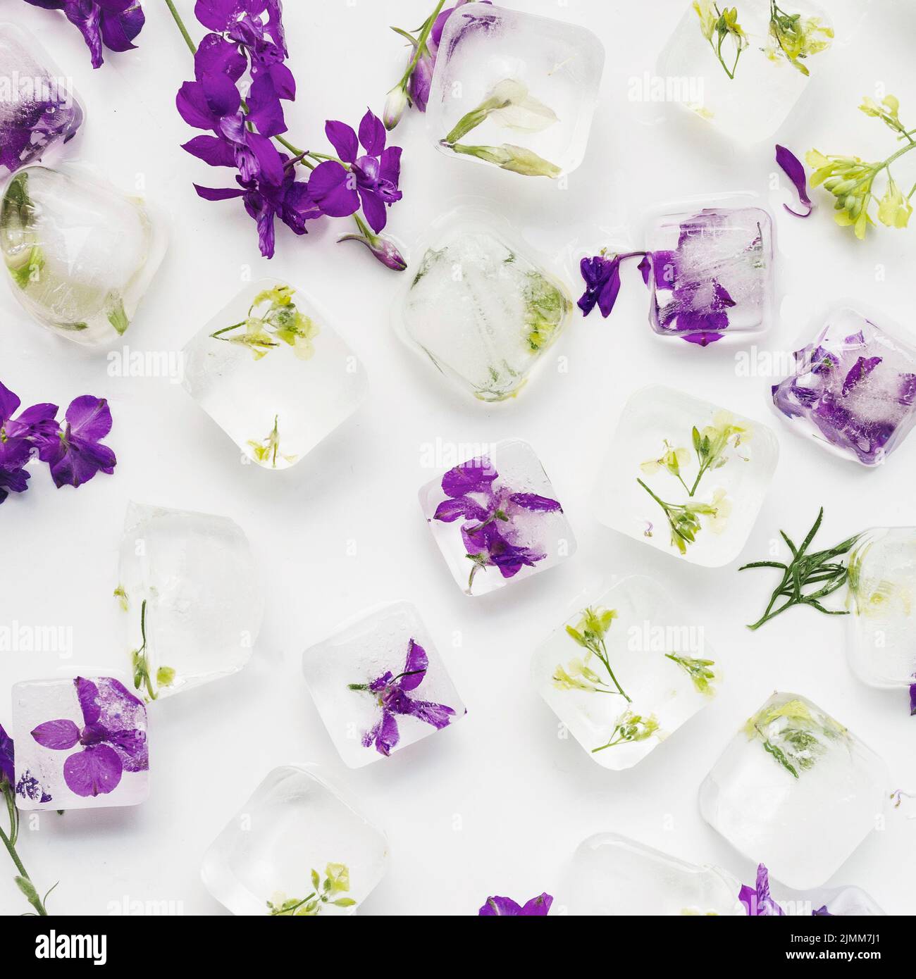 Clear ice cubes with plants flowers Stock Photo Alamy