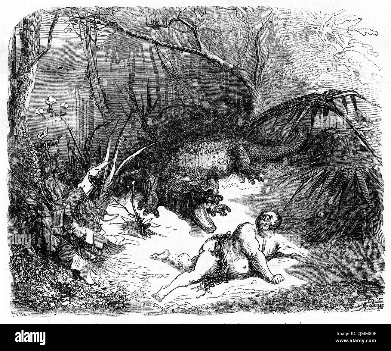 Engraving of a crocodile threatening an overweight man Stock Photo