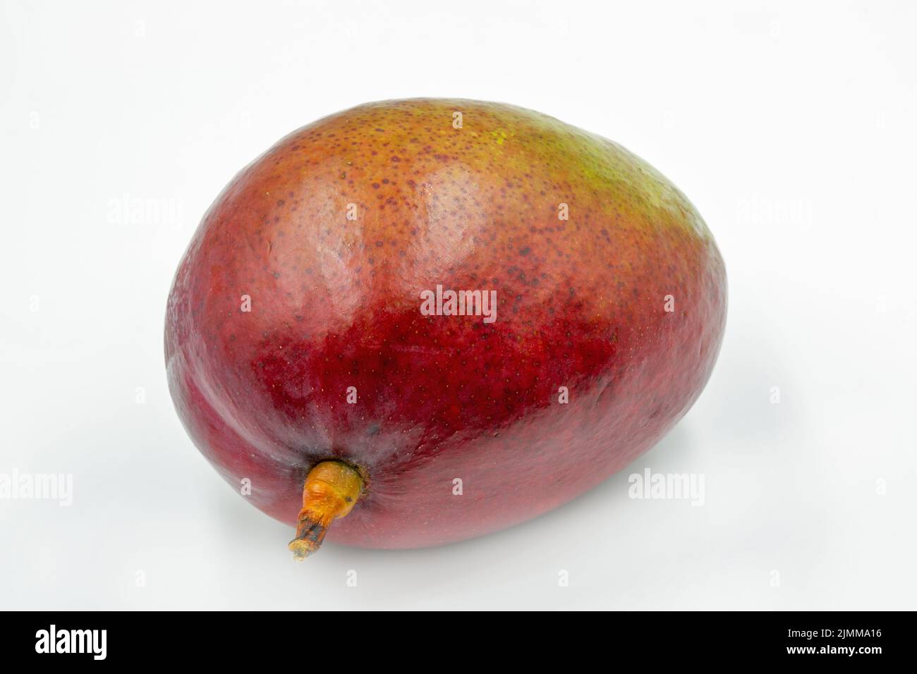 One whole mango fruit closeup against white Stock Photo
