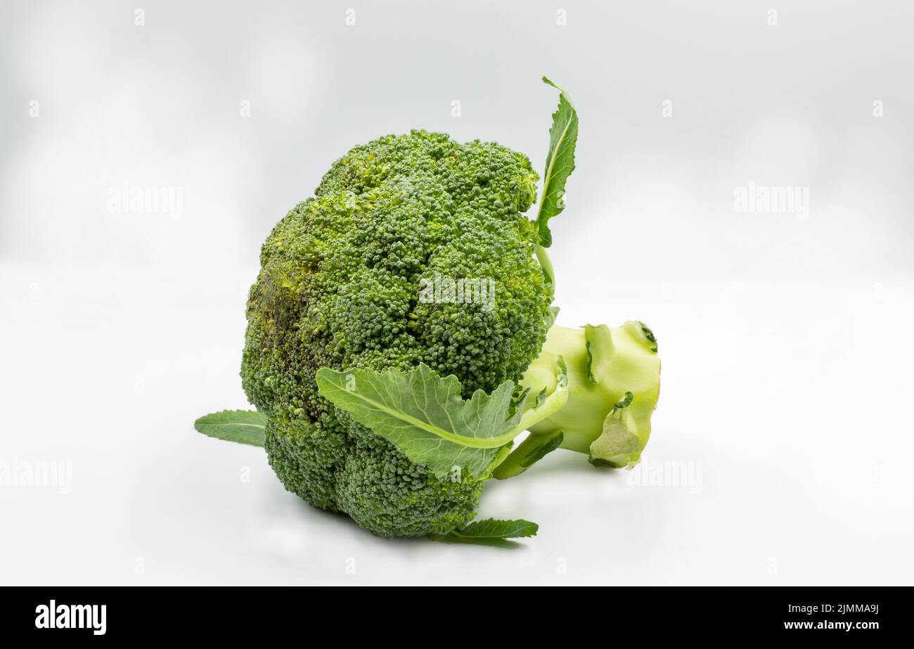 Whole fresh broccoli closeup on white background Stock Photo