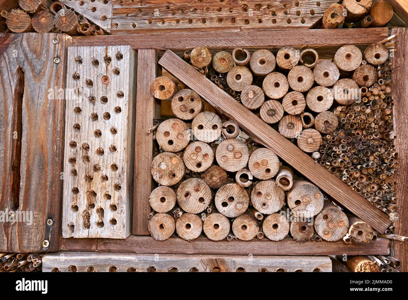 Insect hotel in a green hedge gives protection and a nesting aid to bees and other insects.Insect hotel in a green hedge gives p Stock Photo