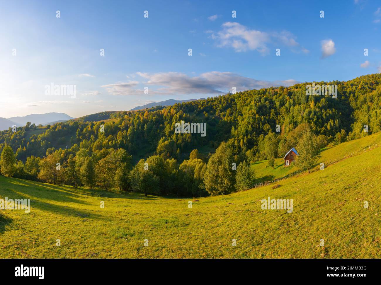 mountainous rural landscape on a sunny afternoon. forested hills and green grassy meadows in evening light. ridge in the distance. sunny weather with Stock Photo