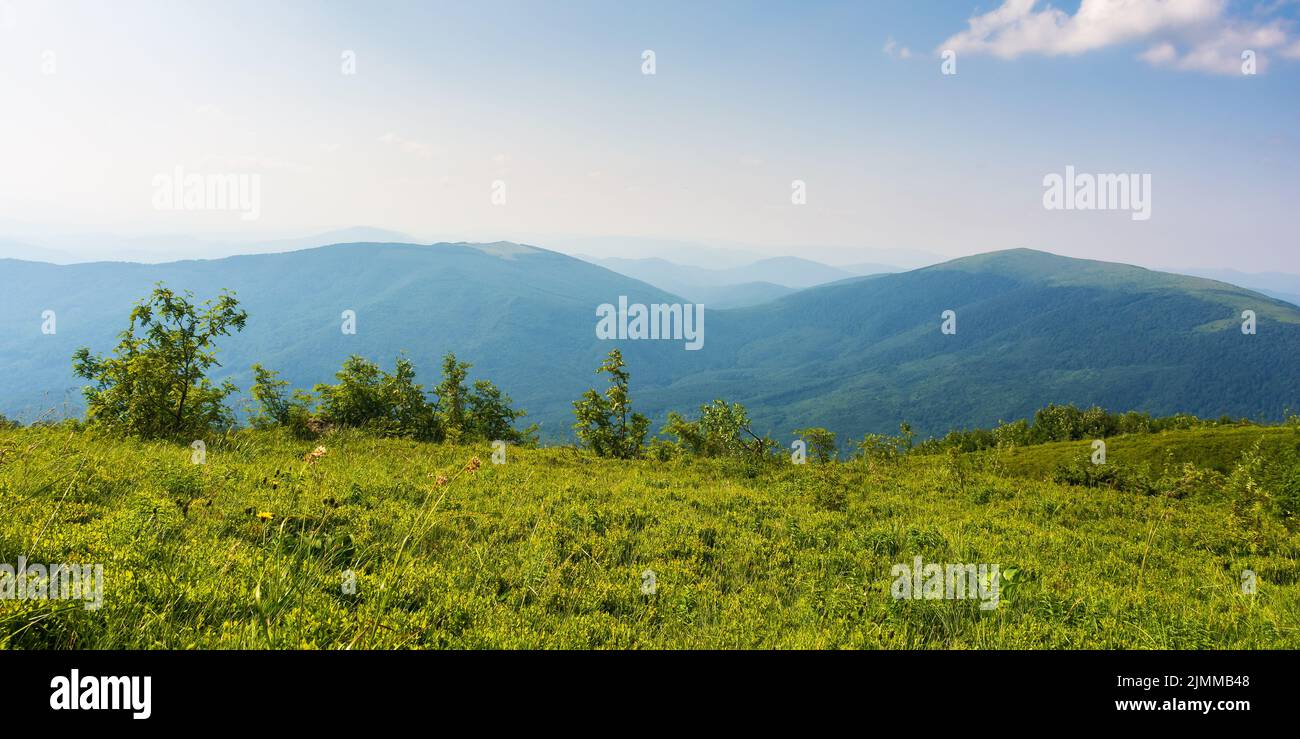grassy meadow on a sunny afternoon. beautiful carpathian landscape in summer. view. in to the distant rural valley. hills and slopes of runa mountain, Stock Photo