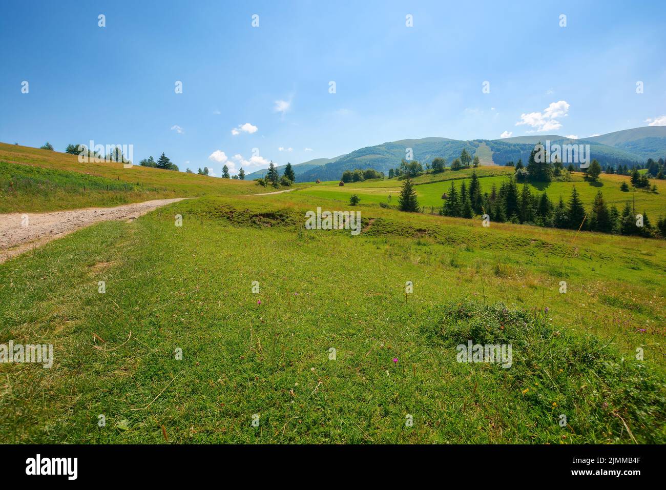 mountainous countryside landscape in summer. green rural scenery with grassy pastures and forested hills. wonderful sunny weather with blue sky Stock Photo