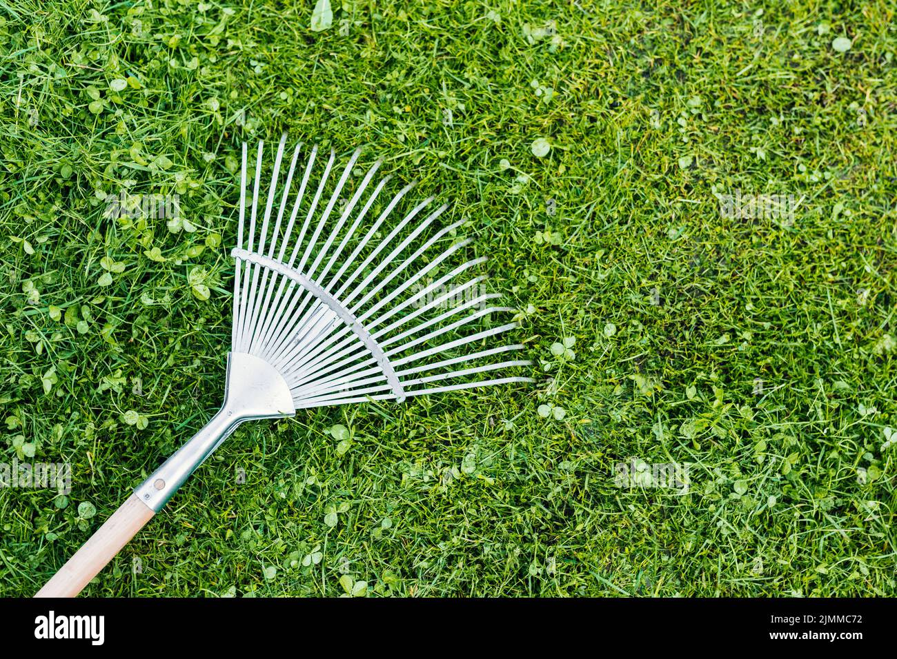 Top view rake grass Stock Photo Alamy