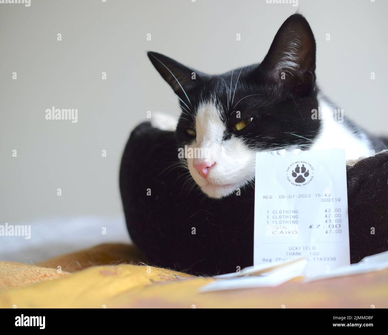 Cat top charity clothing