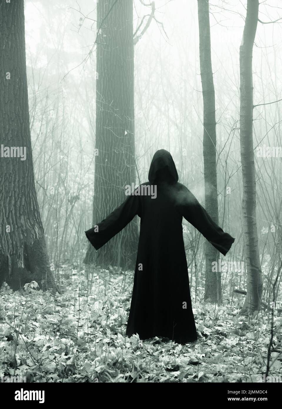 Death in a black hoodie mantle in forest mistery fog. Horror style fear Stock Photo