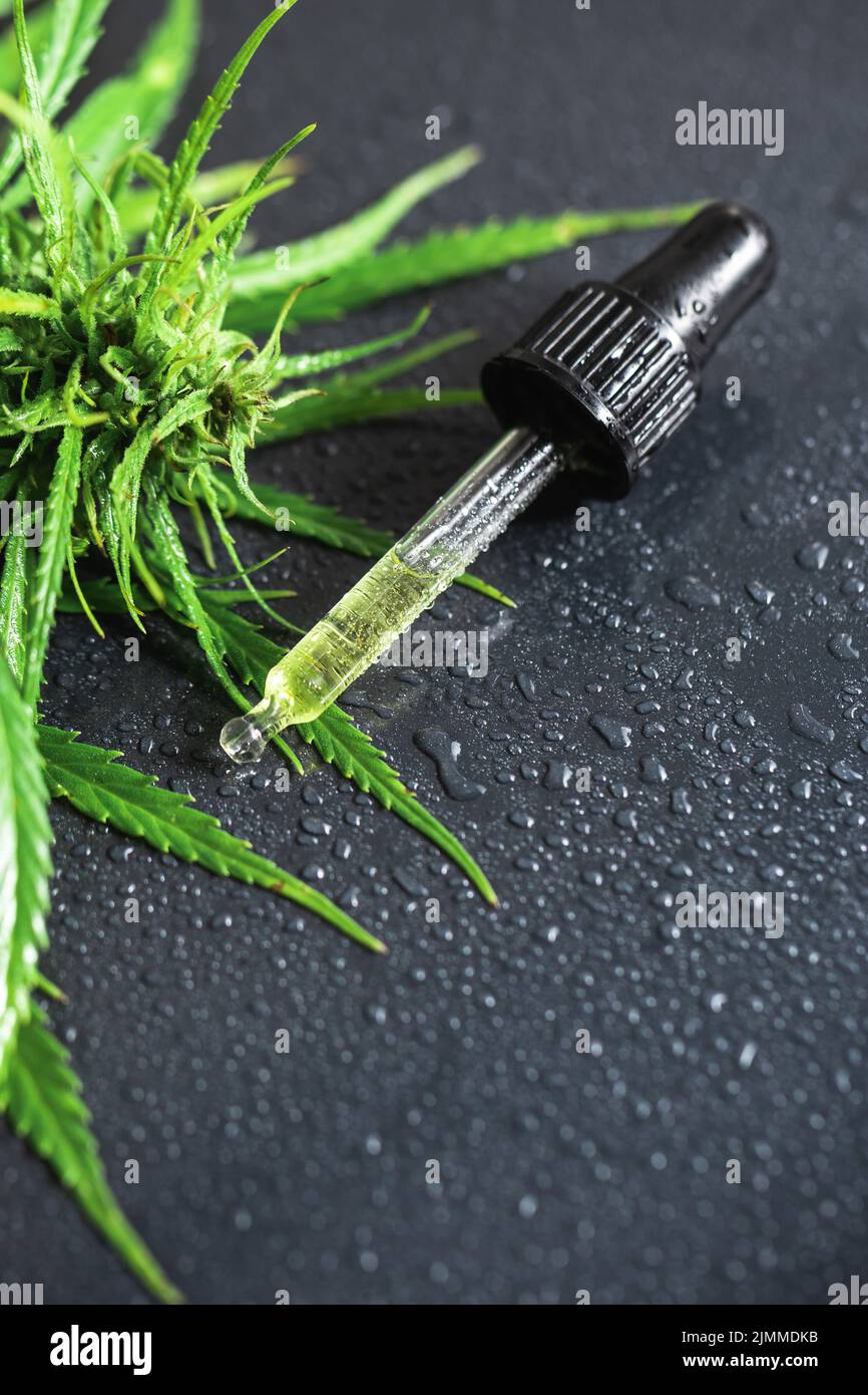 Cannabis plant and pipette with a CBD oil Stock Photo