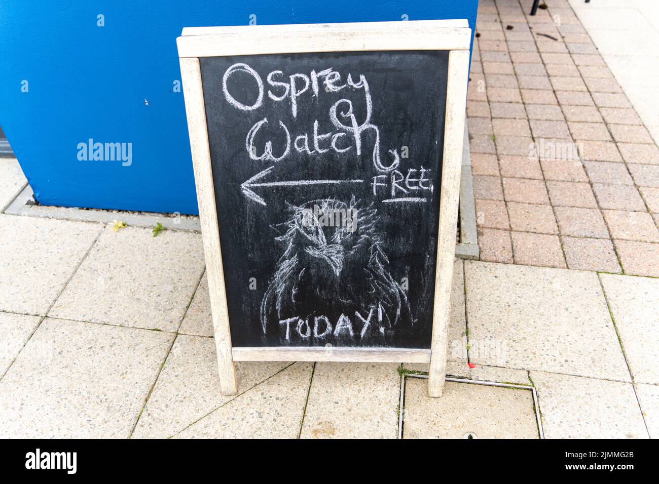 A hand drawn chalk sign at Tower Knowe advertising the Osprey Watch activity at Kielder Forest, Northumberland, UK. Stock Photo