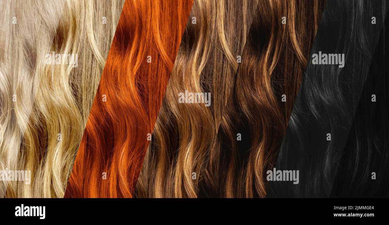 Set of different natural hair color samples. Stock Photo