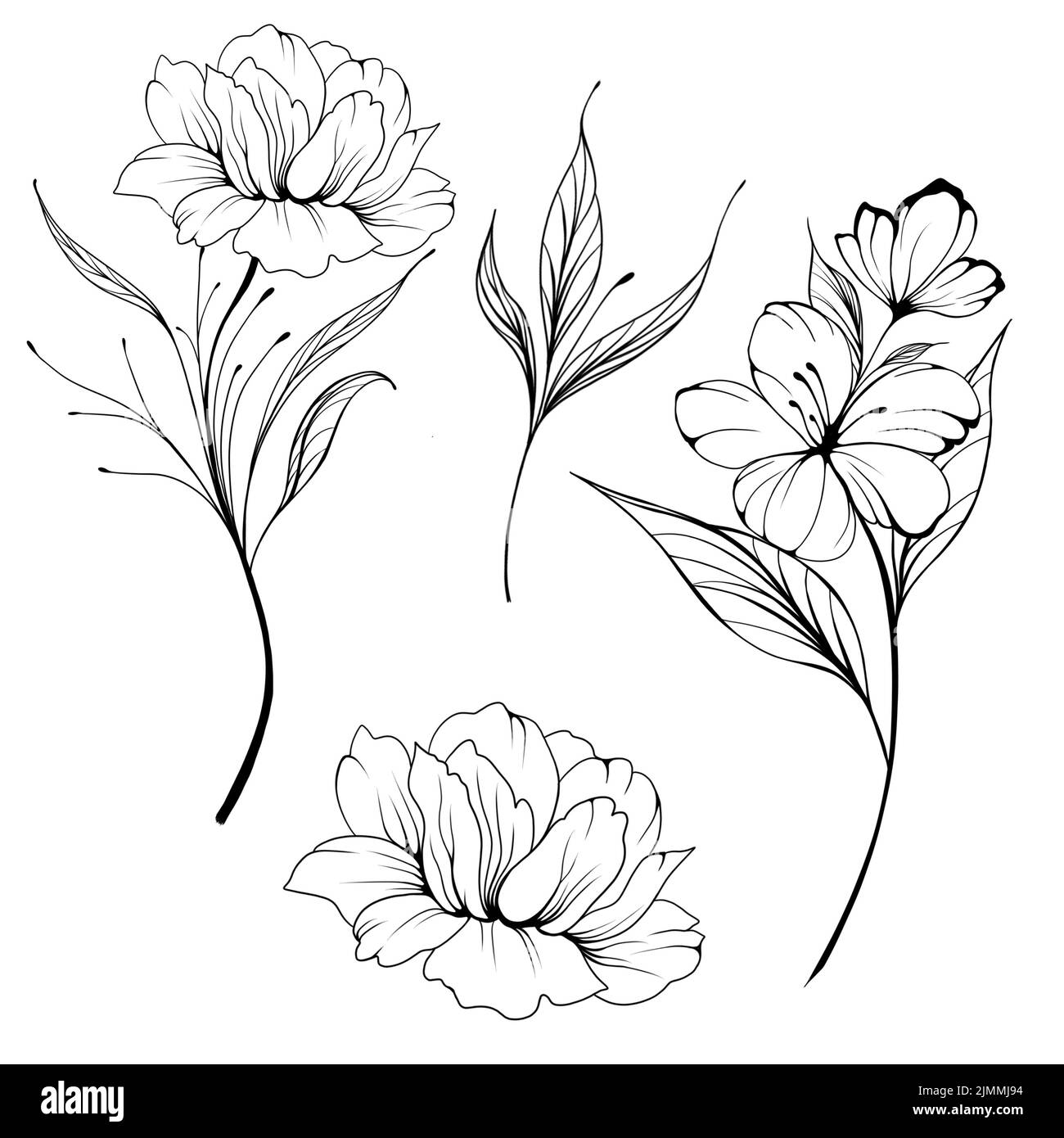 Big set Flowers Periwinkle. Hand drawing. Outline. On a white background. Beautiful sketch of a tattoo - a delicate twig with flowers. botany design e Stock Photo