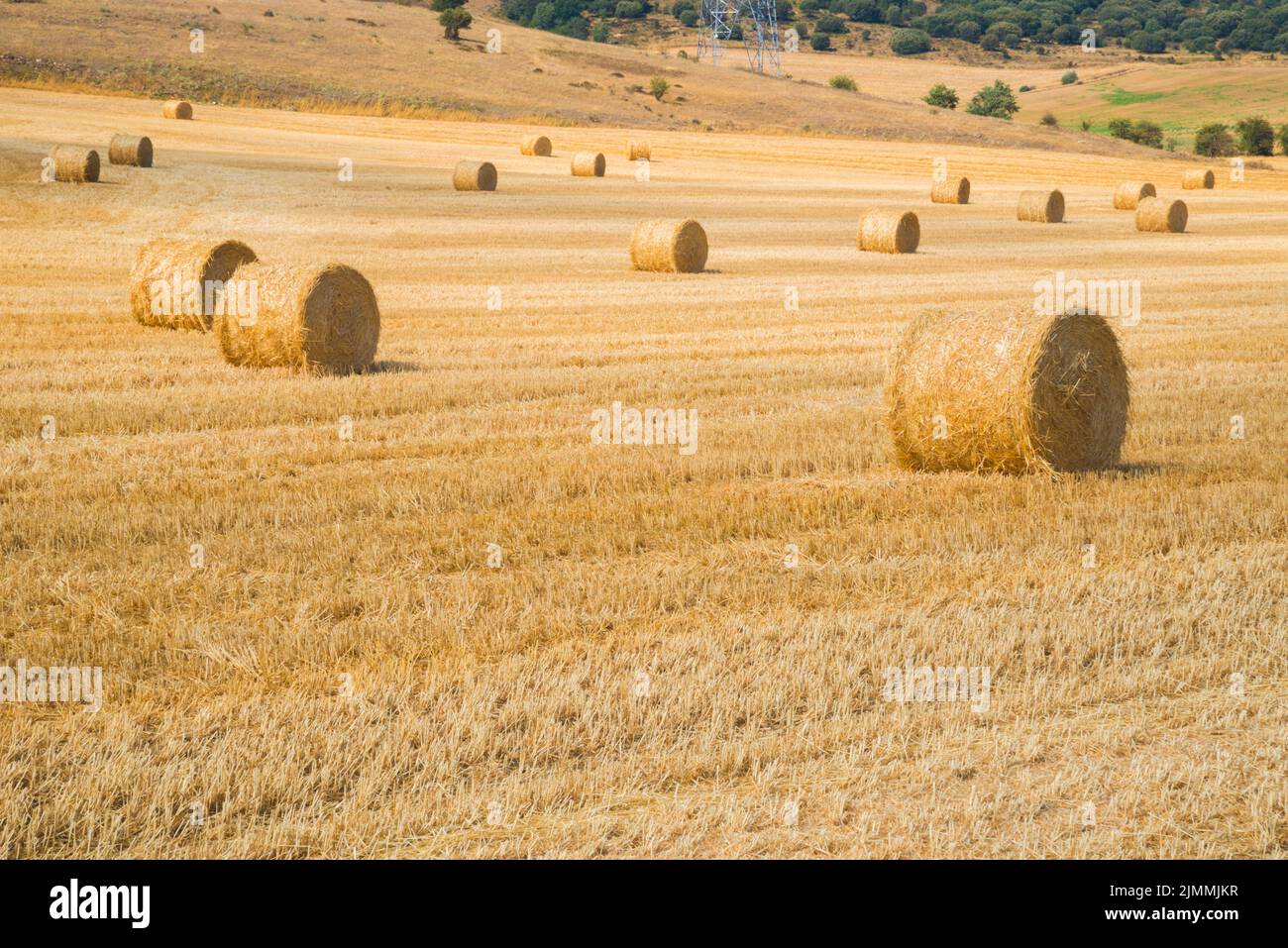 Straw bales. La Bureba, Burgos province, Castilla Leon, Spain. Stock Photo