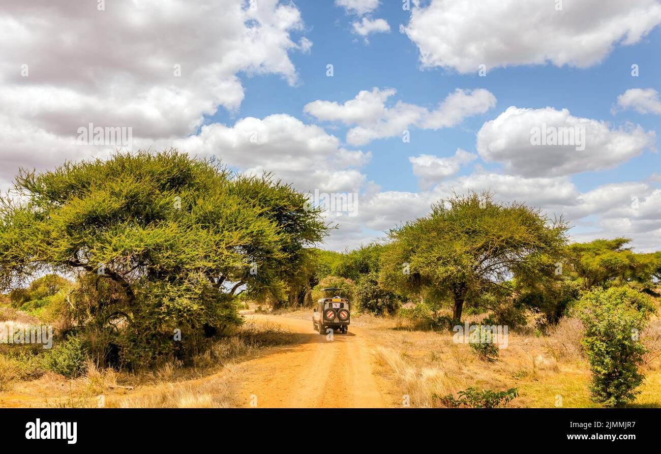 Amazing savannah plains landscape and safari road in Kenya Stock Photo