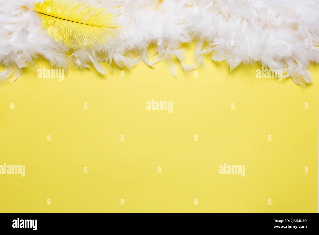 Yellow feather white Stock Photo - Alamy
