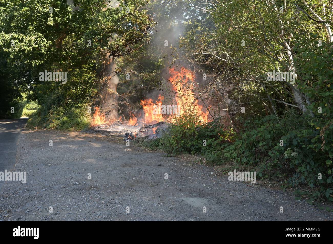 A wildfire by the side of the road in Ardingly, West Sussex during the drought condition's of the summer on the 07th August 2022 Stock Photo