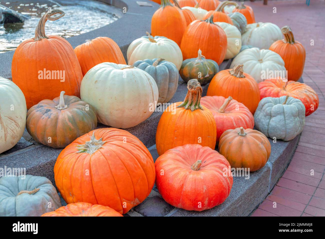 Pumpkins on display beside the water fountain near the Fisherman's