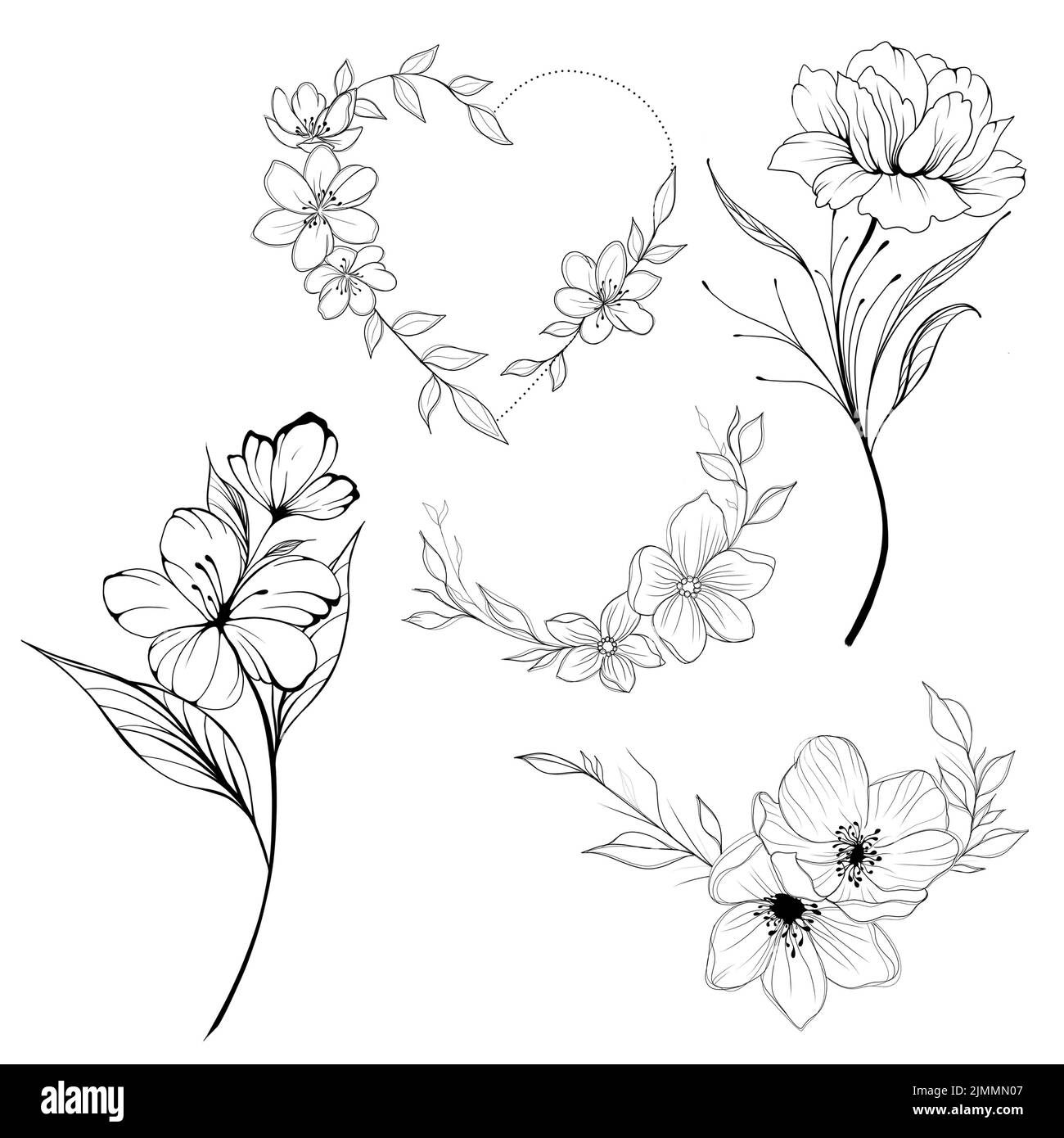 Big set Flowers Periwinkle. Hand drawing. Outline. On a white background. Beautiful sketch of a tattoo - a delicate twig with flowers. botany design e Stock Photo