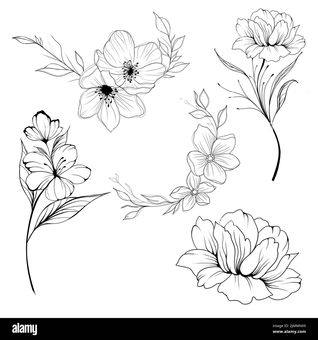 Big set Flowers Periwinkle. Hand drawing. Outline. On a white background. Beautiful sketch of a tattoo - a delicate twig with flowers. botany design e Stock Photo