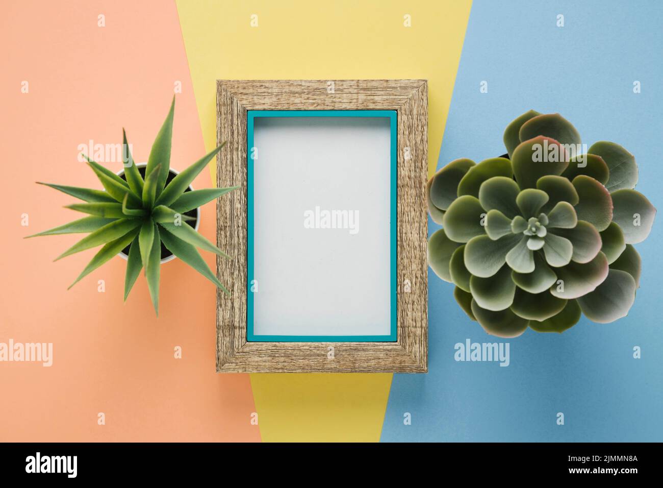 Wooden frame surrounded by plants Stock Photo - Alamy