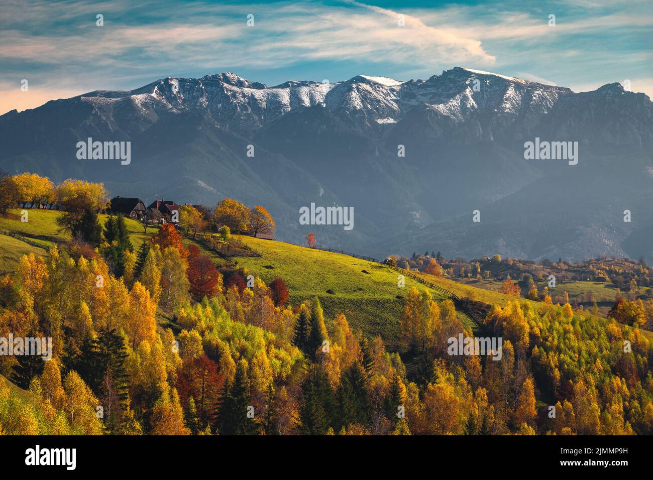 Wonderful autumn rural scenery and colorful birch trees on the hills. Colorful autumn forest on the slope and snowy mountains in background, Carpathia Stock Photo