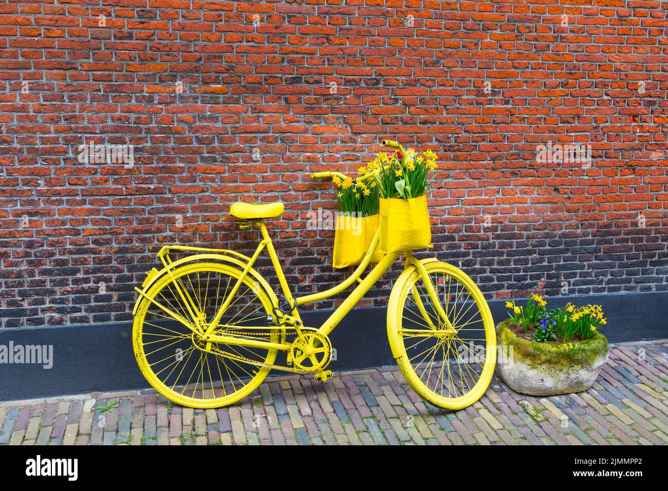 Vibrant yellow bicycle with basket of daffodil flowers on rustic brick wall background Stock Photo
