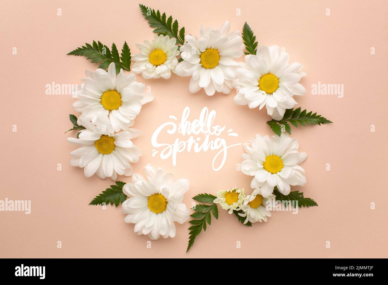 Hello spring beautiful chamomile hi-res stock photography and images ...