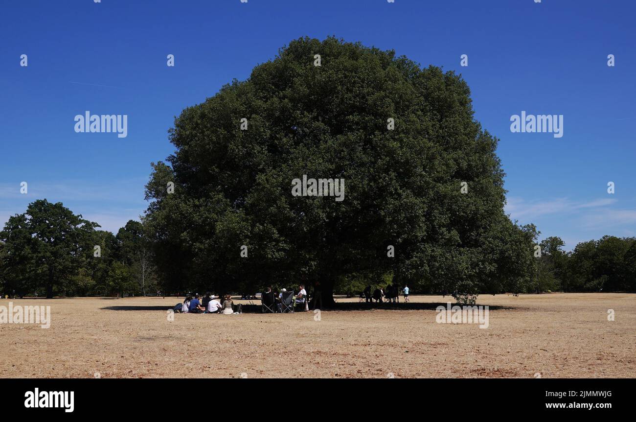 People sit under a tree in Greenwich Park in London. Picture date: Sunday August 7, 2022. Stock Photo