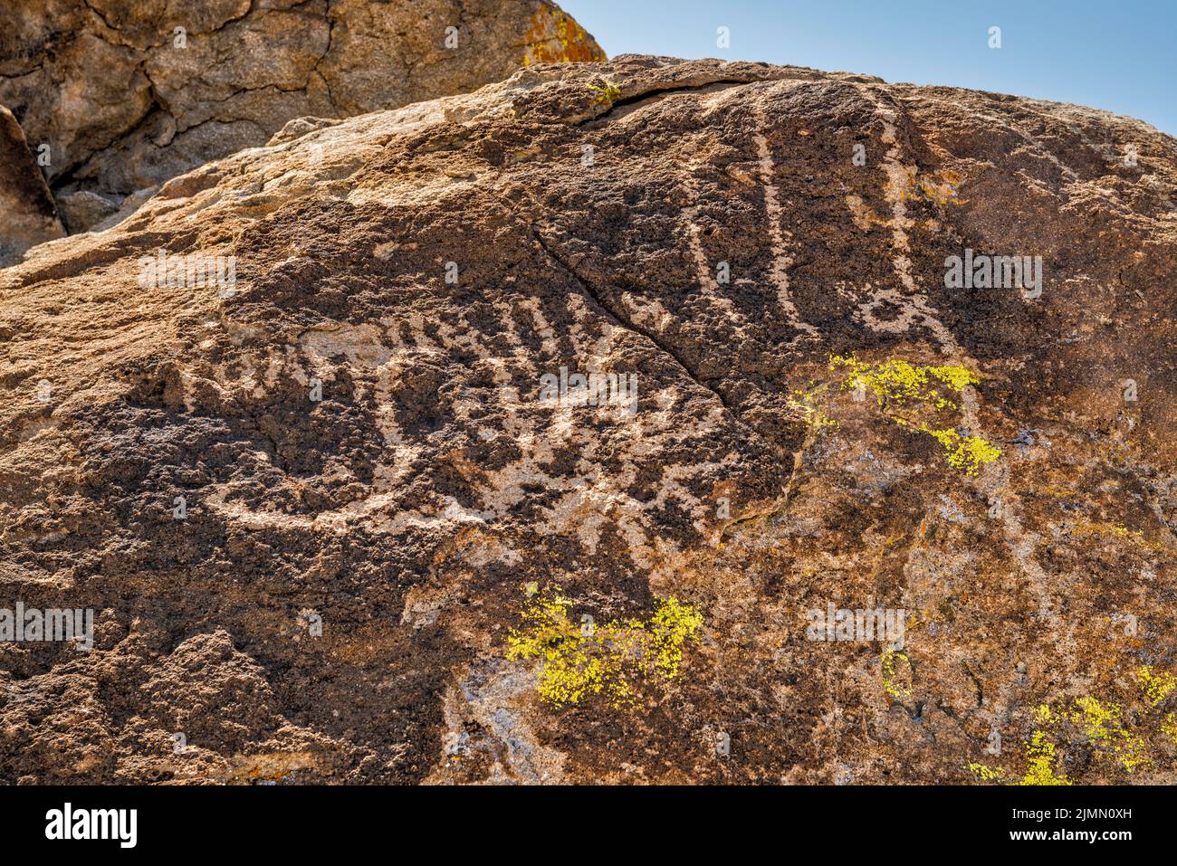 Petroglyphs panel at tuff outcrop, Ash Springs rock art site, Pahranagat Valley, near Ash Springs, Nevada, USA Stock Photo