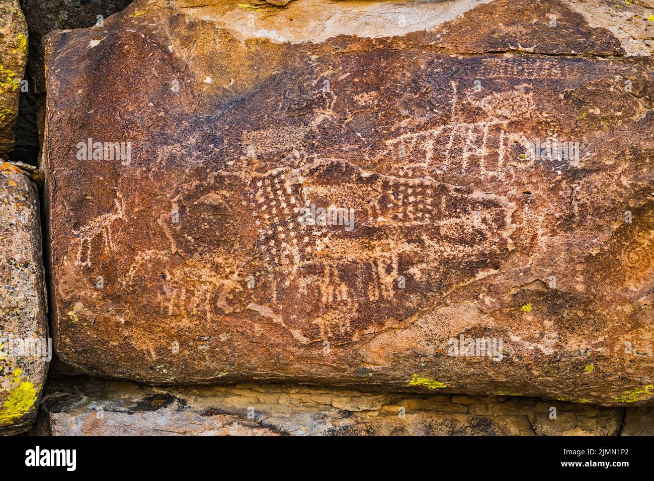 Petroglyphs panel at tuff outcrop, Mt Irish Archaeological District, Western Locus, Basin and Range National Monument, Nevada, USA Stock Photo