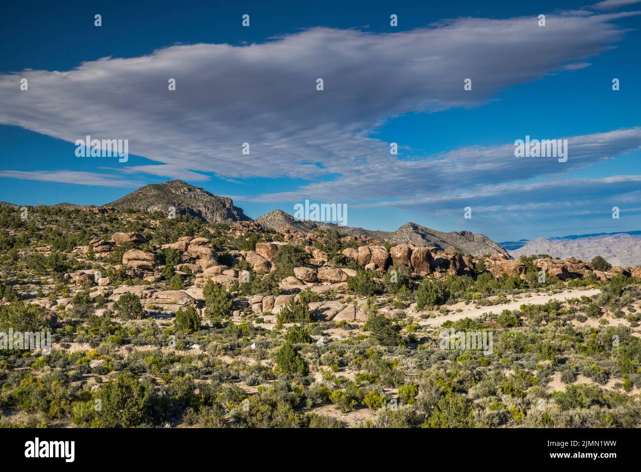 Mount Irish Range, Logan Canyon Road, Mt Irish Archaeological District, Western Locus, Basin and Range National Monument, Nevada, USA Stock Photo