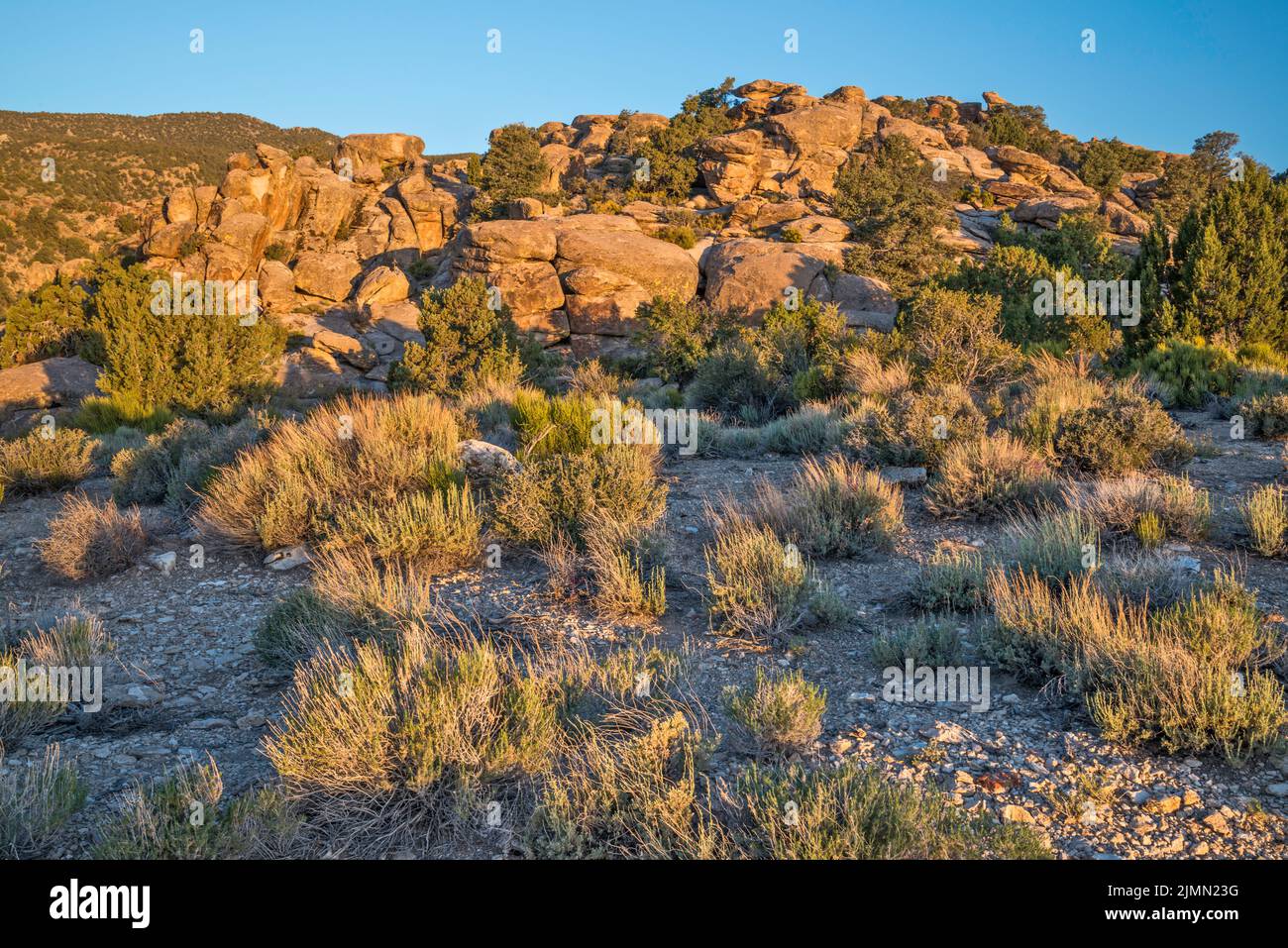 Petroglyph site at tuff outcrop, sunrise, Mt Irish Archaeological District, Western Locus, Basin and Range National Monument, Nevada, USA Stock Photo