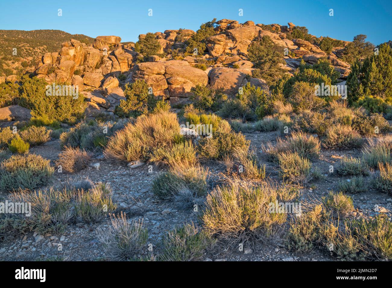 Petroglyph site at tuff outcrop, sunrise, Mt Irish Archaeological District, Western Locus, Basin and Range National Monument, Nevada, USA Stock Photo