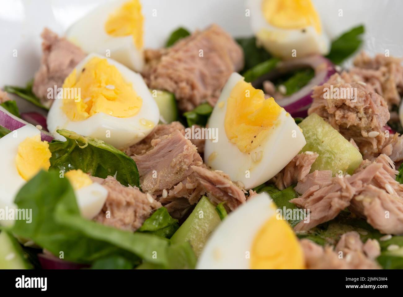 Closeup of tuna, egg and spinach salad with lemon top Stock Photo Alamy