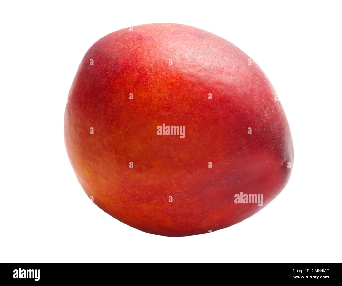 Nectarine isolated on white background Stock Photo
