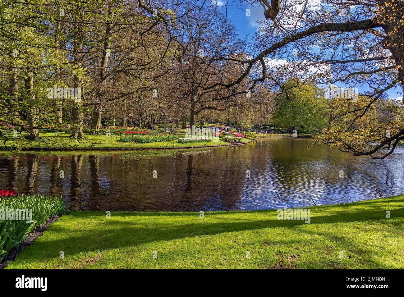 Beautiful park landscape in netherlands hi-res stock photography and ...