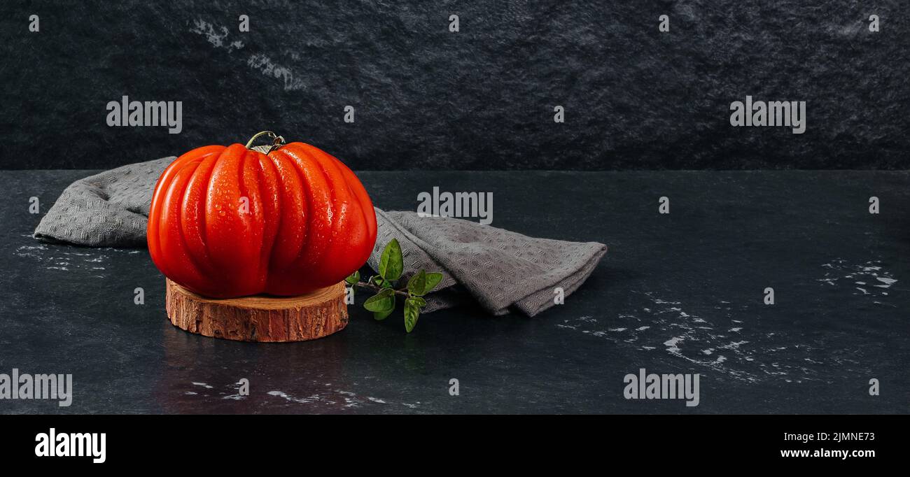 A group of Costoluto big tomatoes with oregano on a grey background, space for text Stock Photo