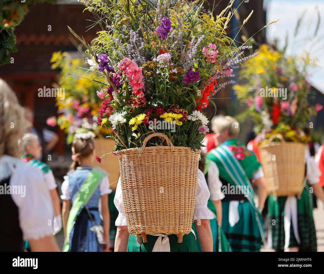 07 August 2022, Saxony-Anhalt, Hüttenrode: A pannier woman with flower decorations marches in the 'Grasedanz' festival procession.  The Grass Queen has been elected in Hüttenrode every year since 1885. The custom festival, in which the women are the center of attention, is celebrated annually on the first weekend in August. Photo: Matthias Bein/dpa Stock Photo