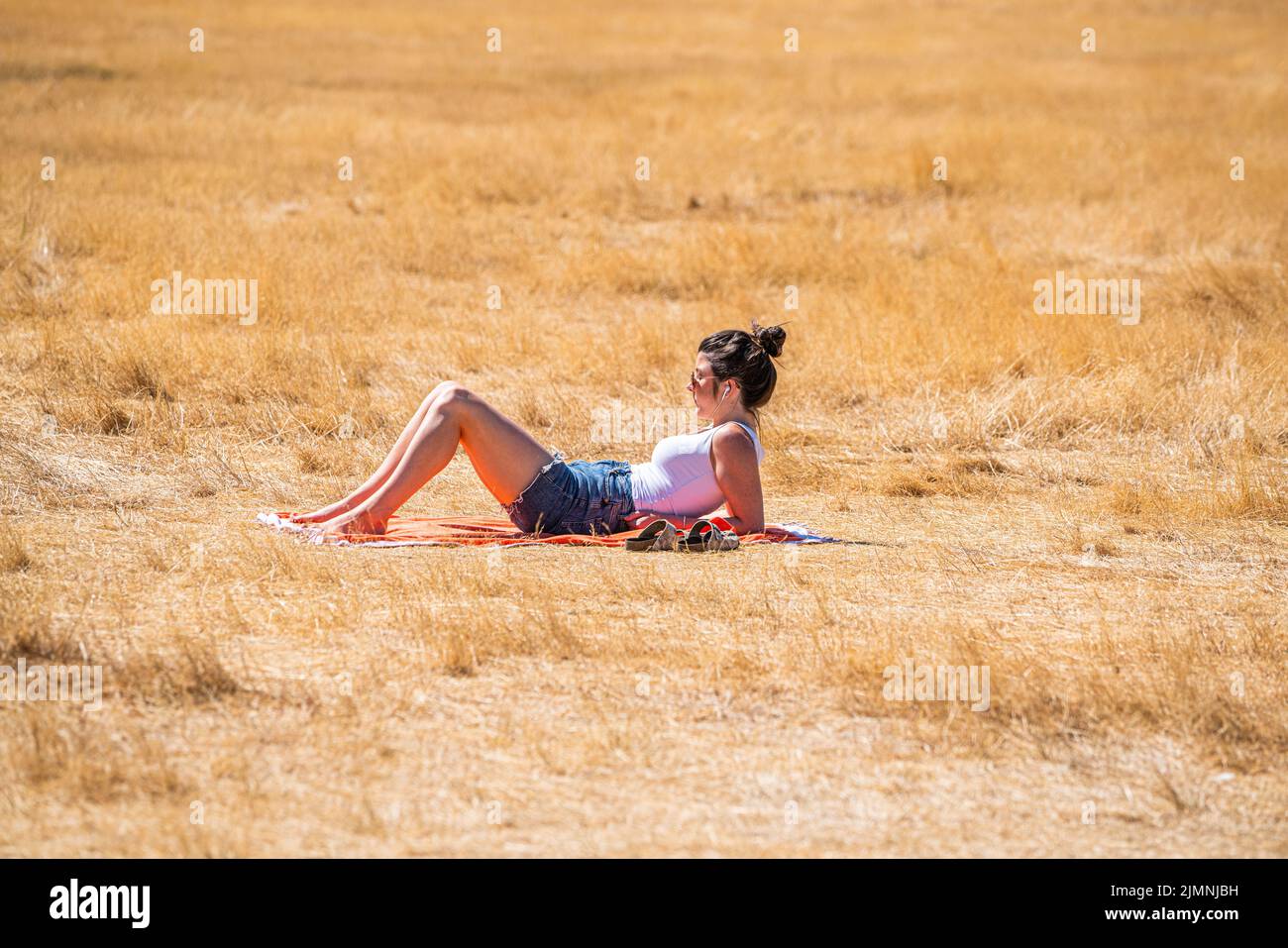 Wimbledon, London, UK. 7 August 2022  A woman sunbathing  on the parched grass on Wimbledon Common  on another  hot day  as the UK's heatwave and drought continues into August, with temperatures expected to reach  above 30celsius  by next week Credit. amer ghazzal/Alamy Live News Stock Photo