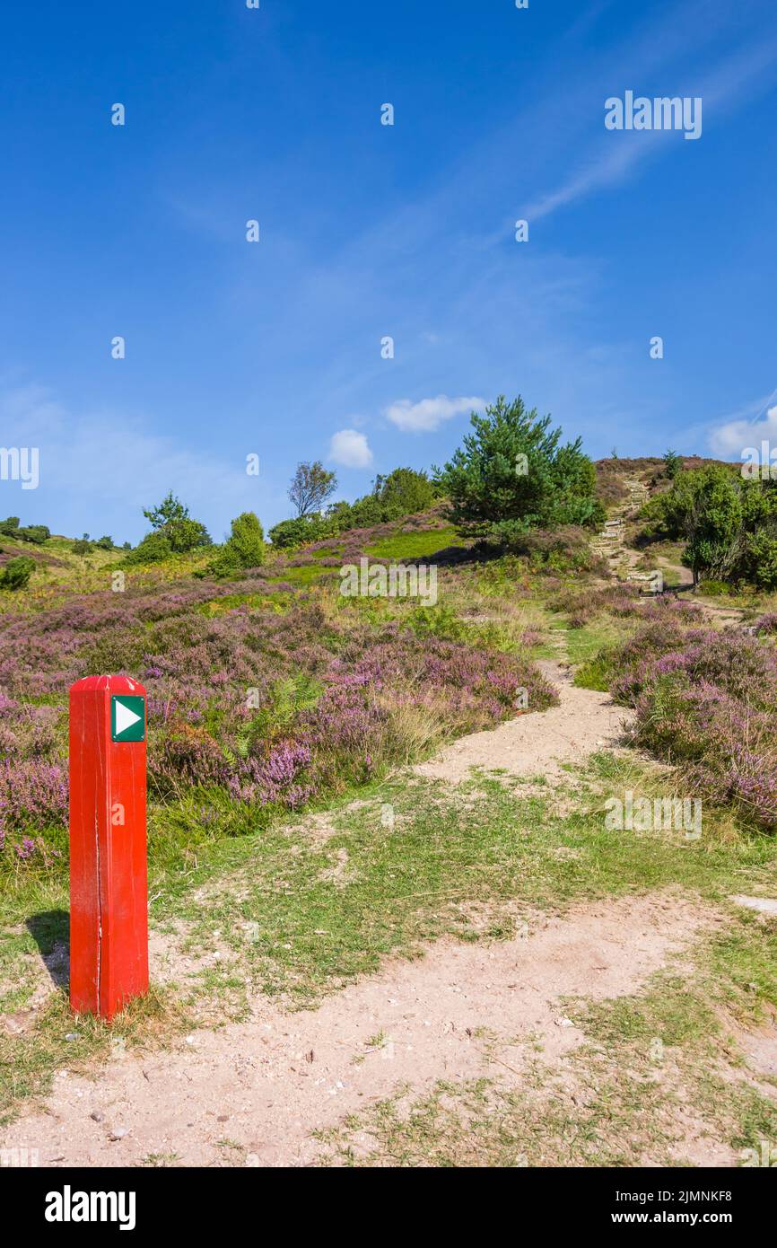 Red signpost pointing to the top of Sonderland mountain in Rebild Bakker National Park, Denmark Stock Photo