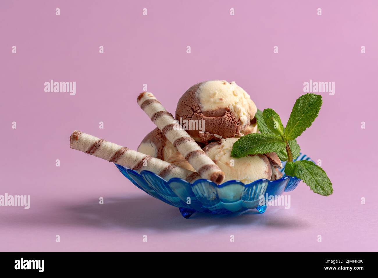 Homemade chocolate and vanilla ice cream. Stock Photo