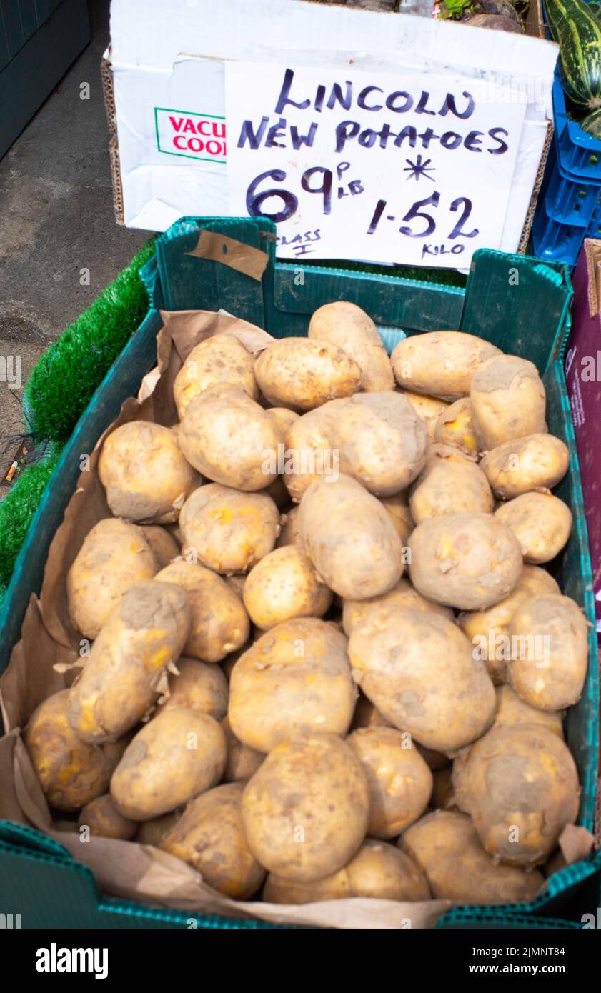Late Lincoln new potatoes in a greengrocers shop in North Yorkshire in late October priced 69p per pound, or £1.52 per KG Stock Photo